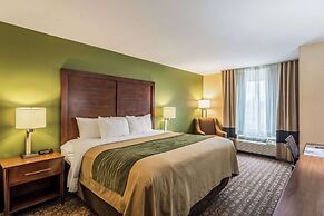 Comfort Inn & Suites Panama City North