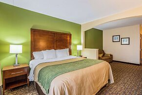 Comfort Inn & Suites Panama City North