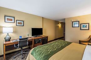 Comfort Inn & Suites Panama City North