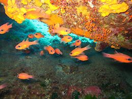 Nymphes Luxury Apartments