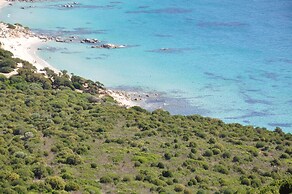 Green Village Resort