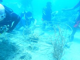 New Adirama Beach Hotel