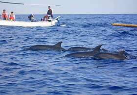 New Adirama Beach Hotel