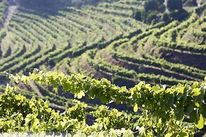 Six Senses Douro Valley