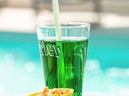 ibis Styles Lyon Meyzieu Arena Stadium