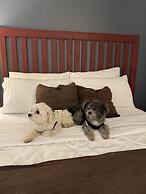 Divya Sutra Plaza and Conference Centre, Vernon, BC