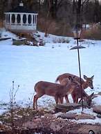 10 Fitch Luxurious Romantic Inn