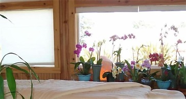 Coast Inn and Spa Fort Bragg