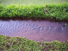 Puri Lumbung Cottages, Restaurant & Spa