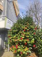 Hotel Première Classe Vannes