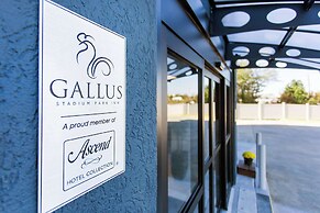 Gallus Stadium Park Inn, Ascend Hotel Collection