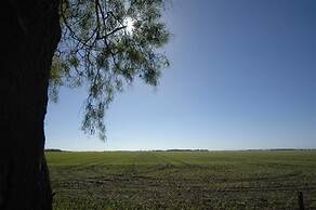 Best Western Ascot Lodge Motor Inn