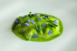 Aquapetra Resort and Spa