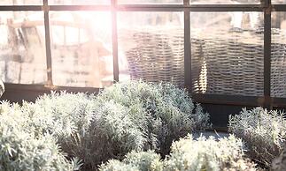 Aquapetra Resort and Spa