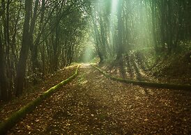 Aquapetra Resort and Spa