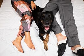 Premiere Classe Gueret