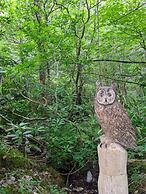 The Isle of Mull Hotel and Spa