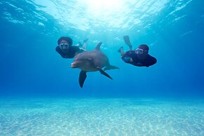 The Cove at Atlantis