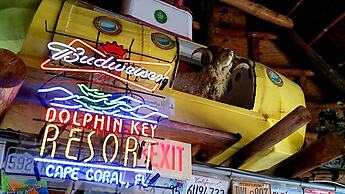 Dolphin Key Resort