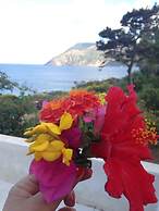 Jerà Aloe B&B Relax-Vulcanello