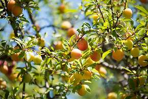 Hotel Internazionale