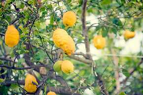 Hotel Internazionale