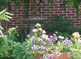 Harvest Moon Bed and Breakfast