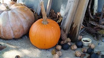 Harvest Moon Bed and Breakfast