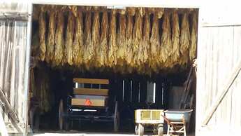 Harvest Moon Bed and Breakfast