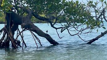 Supalai Scenic Bay Resort And Spa