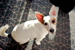 Hilton Dublin Kilmainham