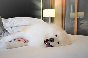 Hilton Dublin Kilmainham