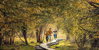 Lapland Hotels Sirkantähti