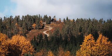 Lapland Hotels Hetta