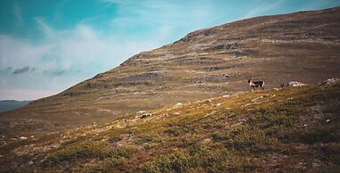 Lapland Hotels Kilpis