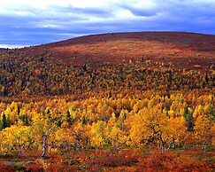 Lapland Hotels Akashotelli