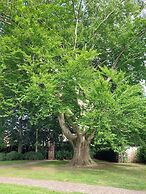 Hotel Bishops Arms Lund