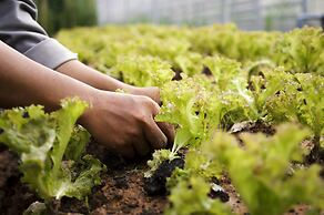 La Veranda Resort Phu Quoc - MGallery