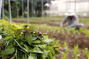 La Veranda Resort Phu Quoc - MGallery