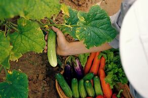 La Veranda Resort Phu Quoc - MGallery