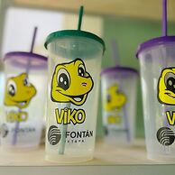 Fontan Ixtapa Beach Resort - All Inclusive