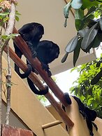 Hotel Chablis Palenque