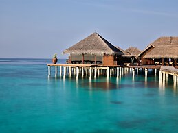 Coco Bodu Hithi