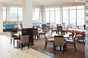 Hilton Garden Inn Dallas Lewisville