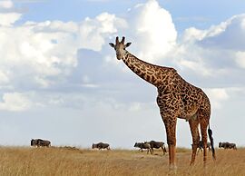 Holiday Inn Express & Suites Allentown West by IHG