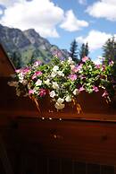 The Fox Hotel and Suites