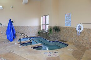 Holiday Inn Madison at The American Center by IHG