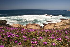 Hotel Gabbiano - Agenzia Isola Rossa