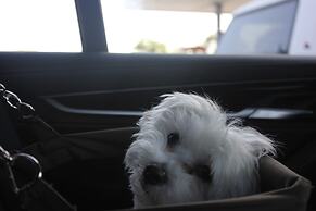 Morro Shores Inn And Suites