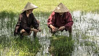 Four Seasons Resort The Nam Hai, Hoi An, Vietnam